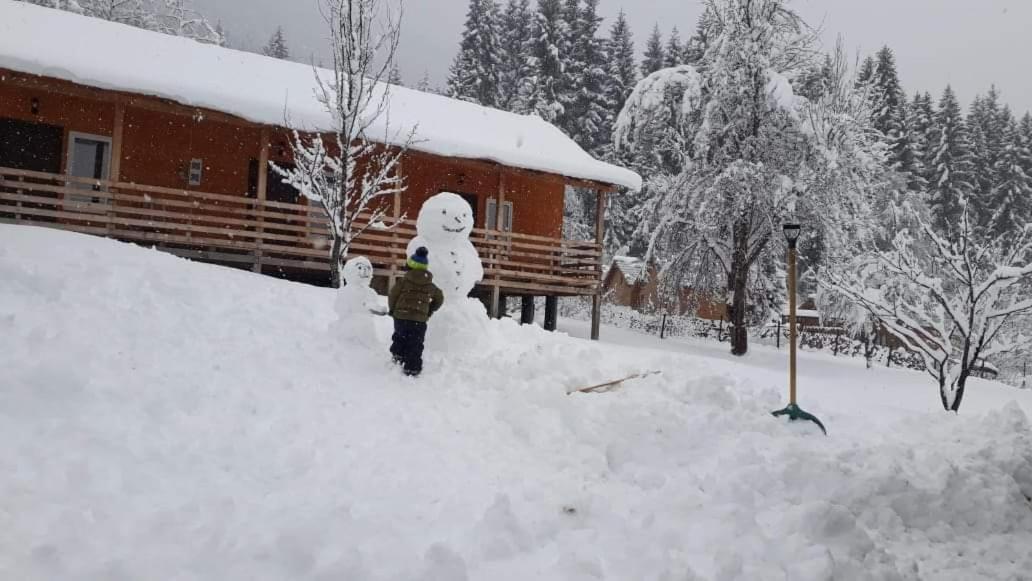 Cottage Shgedi Mestia Exterior foto