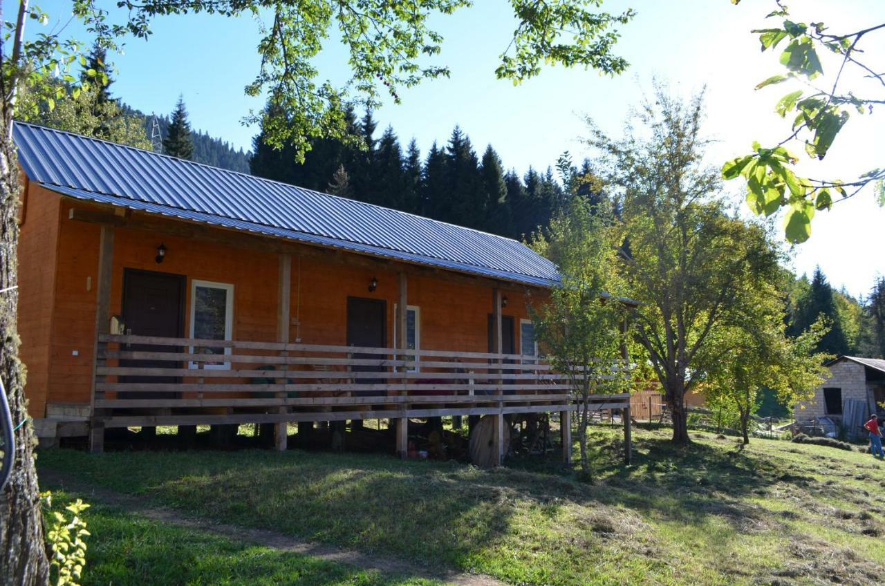 Cottage Shgedi Mestia Exterior foto
